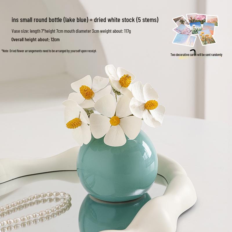 Small Ceramic Desktop Hydroponic Vase for Pothos - Simple Decorative Ornament for Office