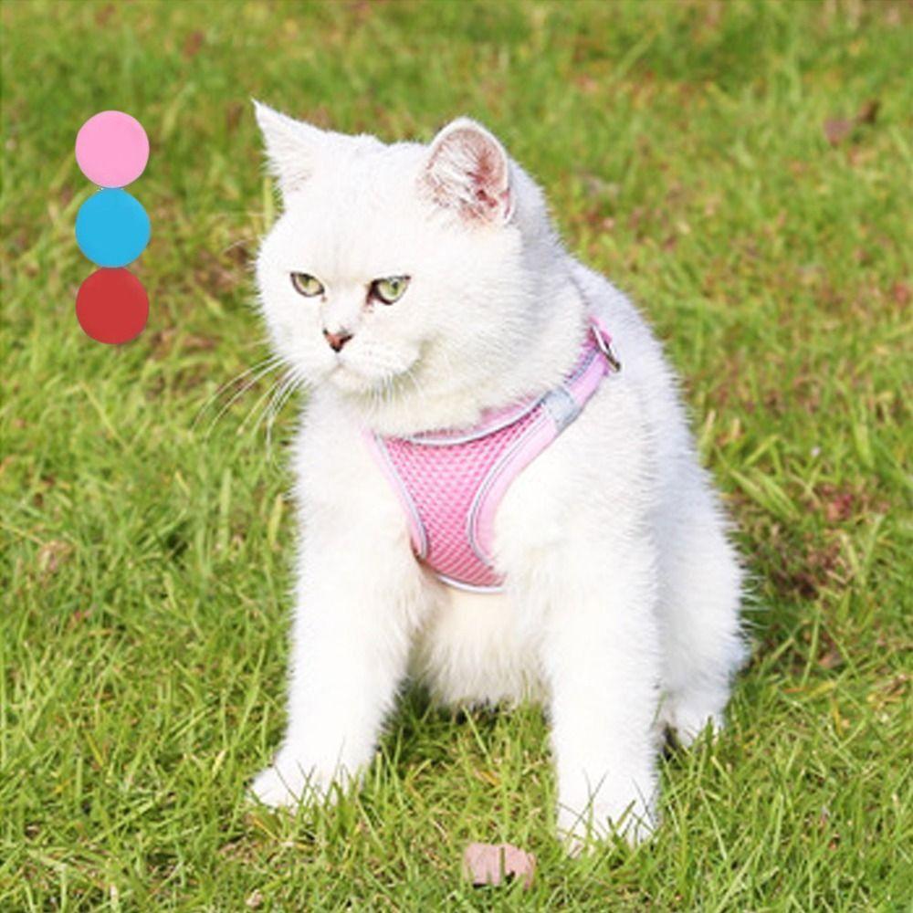 Adjustable Cat Harness Vest Reflective Pet Collar Harness Practical Dog Chest Strap  Pet Training