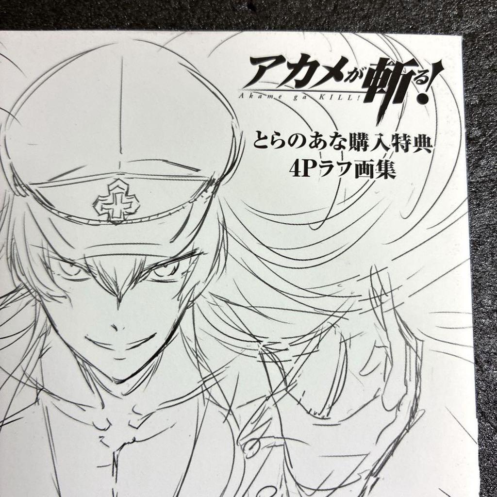 [USED] Akame ga Kill! Toranoana Purchase Bonus 4-page Rough Art Book Rare Esdeath