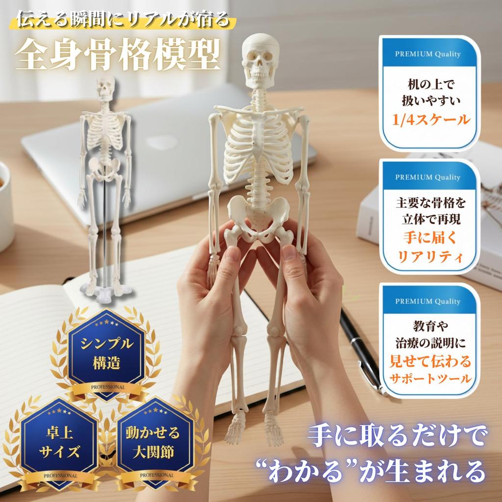After7 1/4 Scale Full Body Skeleton Model, Miniature Human Body Model, 45cm, Tabletop Skeleton Specimen, Bone Model, Movable Joints