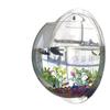 Wall Mounted Acrylic Fish Bowl Transparent  Hanging Fish Tank  Wall Mounted Aquarium Plant Pot Planter
