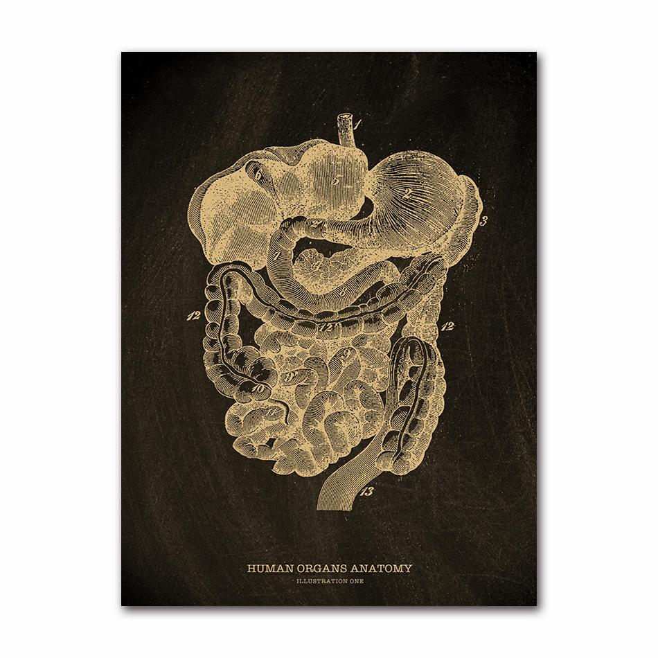 Anatomical Skeleton Chalkboard Poster Kraft Paper Posters DIY Vintage Home Room Medicine Student Decor Medical Art Wall Painting