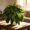 Artificial Boston Fern Foliage With Durable Silk Material For Event Decoration And Photography Props