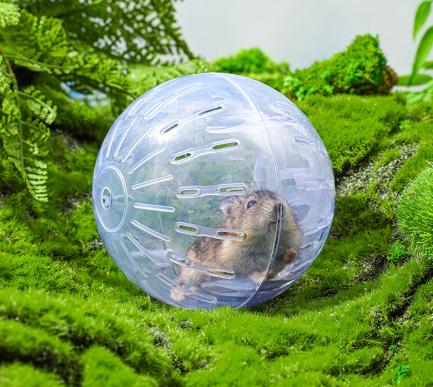 Mingie de exerciții pentru hamster cu roată de alergare, versiune de 10 inci pentru animale mici