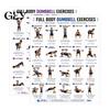 Esercizi Upper Lower Body 2 Pezzi Tabella Allenamento Manubri Poster, Guida Fitness Completa per Principianti, Decorazione Murale Allenamento Forza per Palestra Domestica