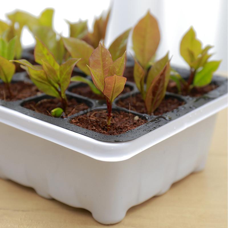 6/12 Holes Vegetable Seedling Pots Seedling Tray Garden Pots Durable Seed Germination Plant Flower Pots Grow Box For Planting