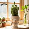 Dekorativer Blumentopf Lustiges Gesicht Toiletten-Pflanzgefäß Harzkopf Pflanze Niedliche Raumdekoration mit Drainageloch für Sukkulenten Kleine Zimmerpflanzen Außenbereich