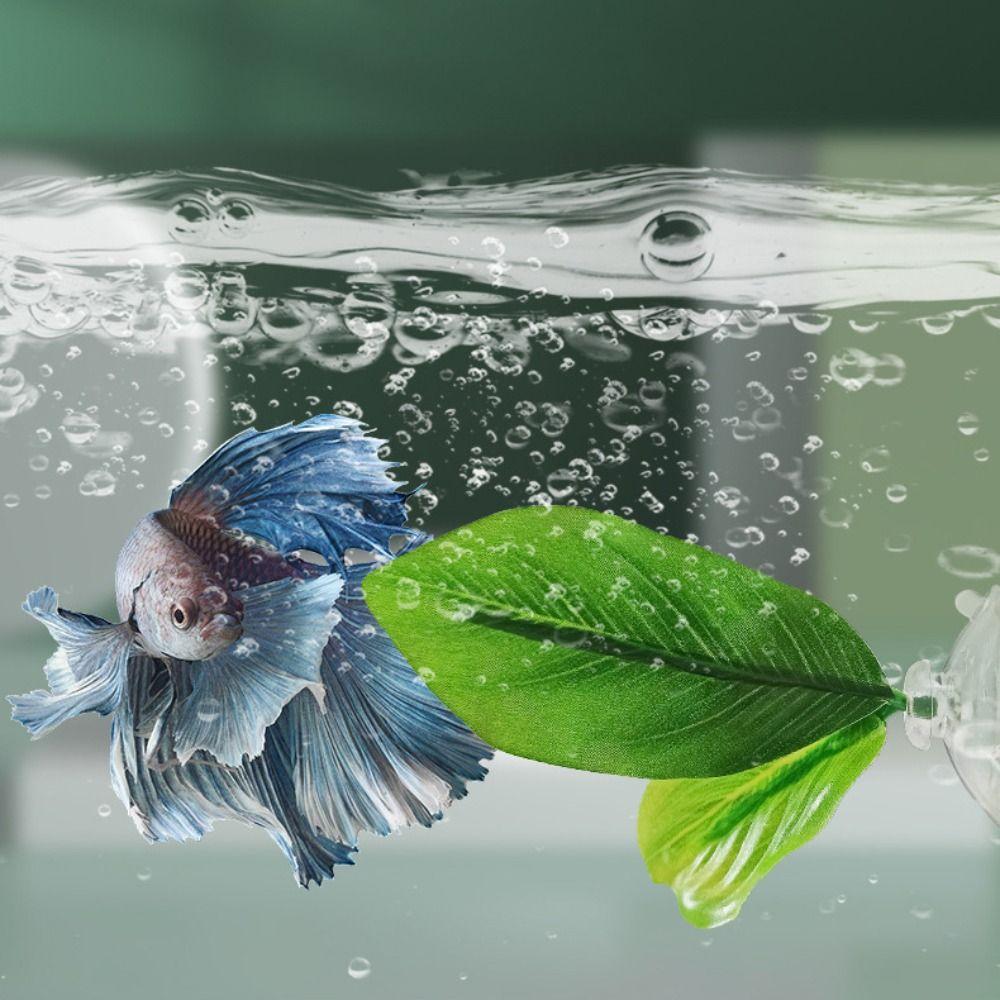 Ventosa Habitat Esconderijo Peixe Plástico Área de Banho Répteis Plataforma Lagartixas Rã Répteis