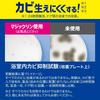 Magiclean Bathroom Anti-Mold & Pink Slime Prevention Refill 2-Pack Floral Scent Kao