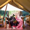 1pc Wicked Outdoor Blanket Lightweight Flannel, Soft & Warm, All-Season Use for Sofa, Outdoor, Camping, Living Room, Office092