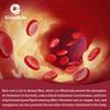 COOLKIN Organic Beetroot 20:1 Extract, equivalent to 8000 mg of fresh beetroot, aids digestion and lowers cholesterol.