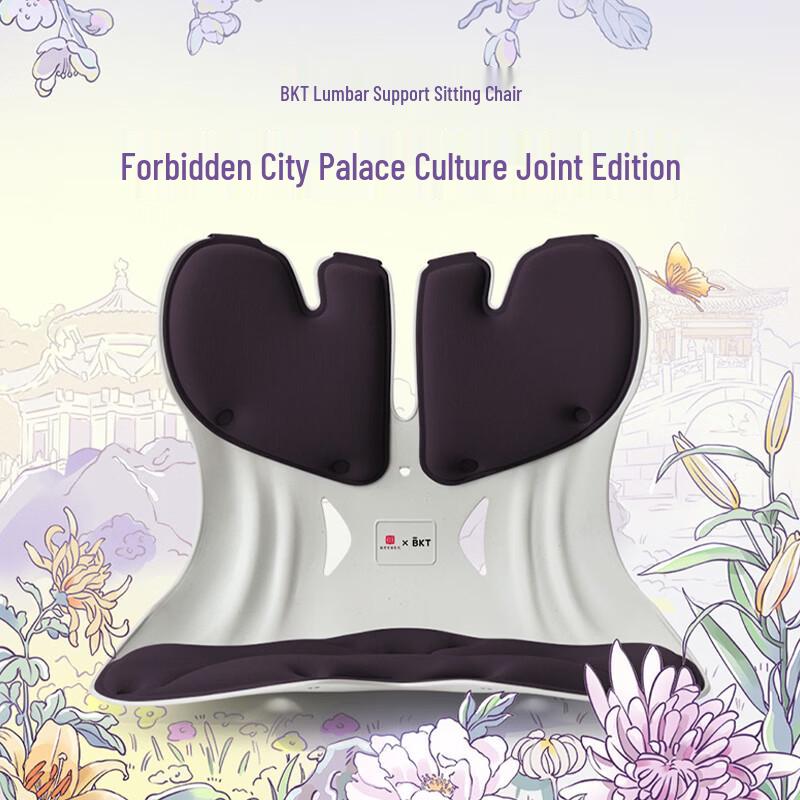 BKT Ergonomic Lumbar Support Chair Cushion