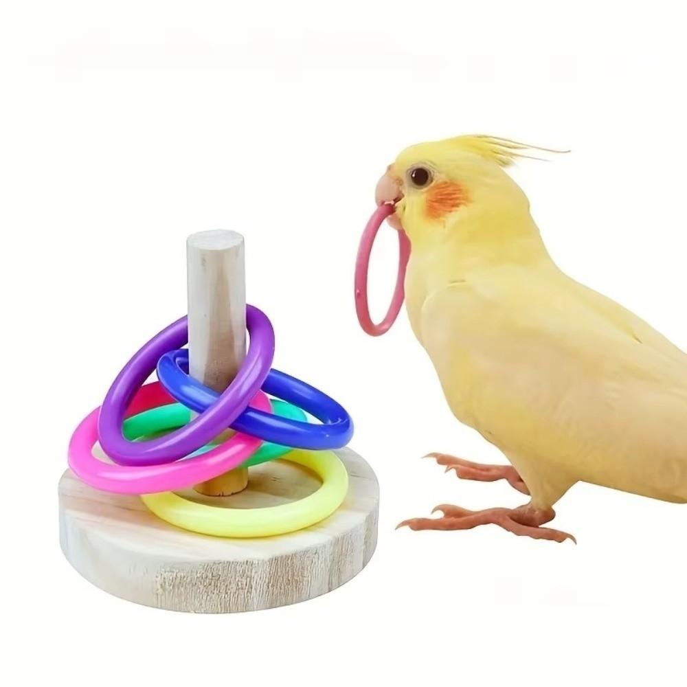 Colorful Rings Interactive Parrot Toy Interactive Exercise Toy For Parrots For Parakeet