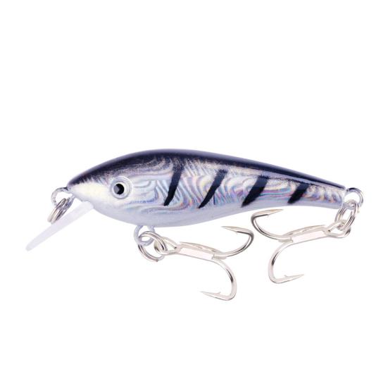 10Pcs Fishing Lures Hard Baits with Treble Hooks 3D Eyes