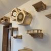 Cat Sky Park Wall-mounted Cat Tree Cat Jumping Platform Includes Sisal Scratching Board Suspension Bridge Soft Bed with Step