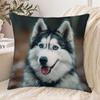 1pc Pillowcase, Cute Husky Dog Print, 2D Flat Printing, Single-Sided Print, No Pillow Insert, 17.72 X 17.72 Inches (45 X 45cm), Non-Real Embroidery, S