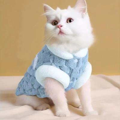 Winterkleidung für Katzen und Hunde mit Schnalle, süßer Bärendruck, Plüschpullover für kleine Hunde, Zwergspitz, Chihuahua, Welpen, Knopfjacke