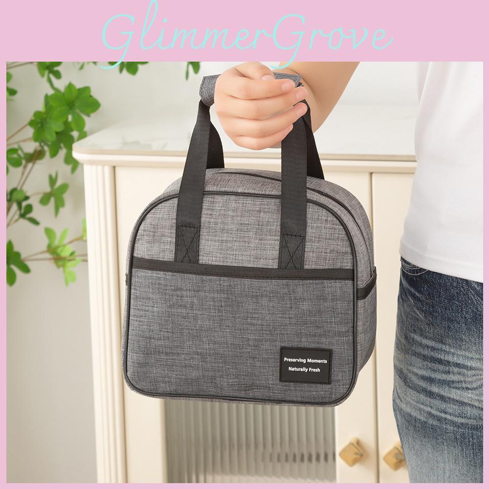 Insulated Food Ecofriendly Bag Tote With Aluminum Layer For Travel School And