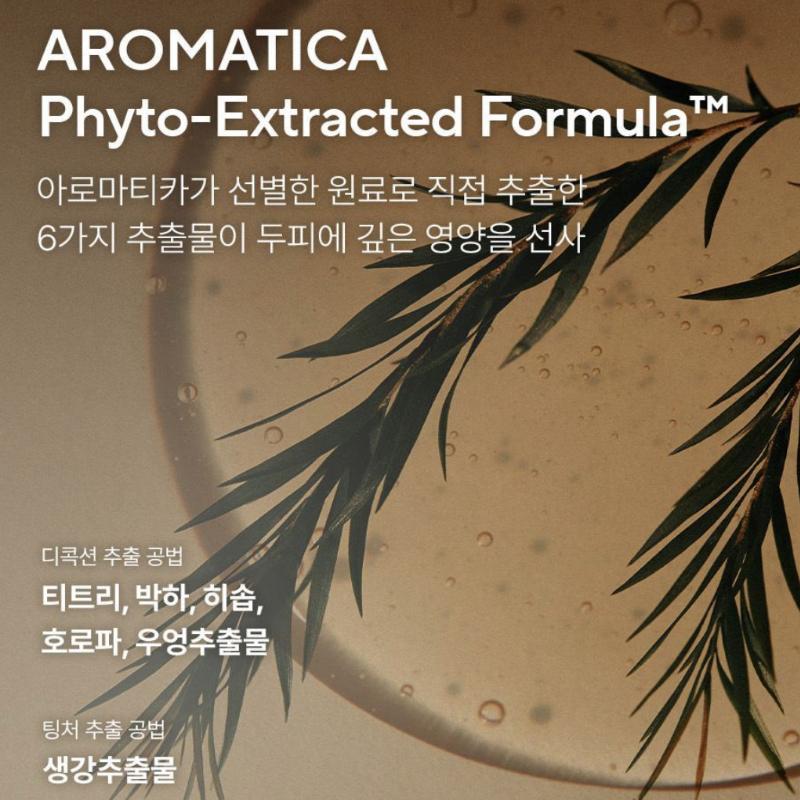 [Aromatica] Tea Tree Purifying Shampoo 400ml+Refill 400ml (Double Plan)/Olive Young Pick