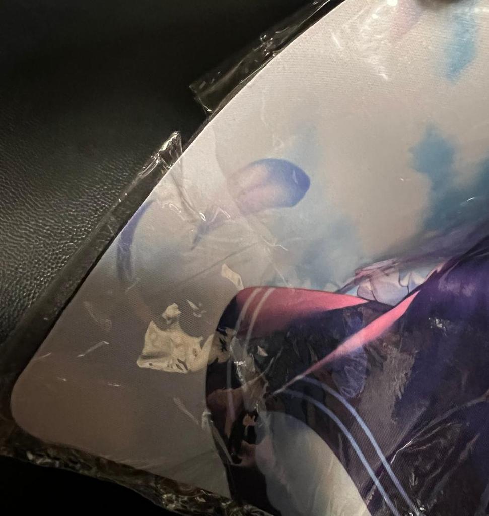 [USED] Fate FGO Altria Pendragon Saber Lily Sleeve