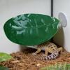 Frog Habitat Leaf Suction Cup Reptile Basking Area Resting Terrace Suction Cups Tank Accessories Simulated Leaves Aquarium Decor