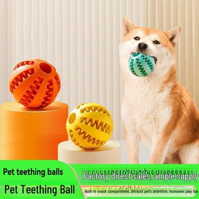 Cani – Giocattoli per cani