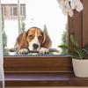 Fun-f101 Cartoon Hund Peeping Glas Fenster Hintergrund Dekorative Fenster Aufkleber Elektrostatische Uv
