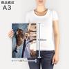 Art 420mm X Wall Wooden Stylish Interior Photo Panel, Painting, Decoration, Igsticker, 297mm, A3, Photo, Hanging, Frame, Decor, 023084, Cat, Animal,