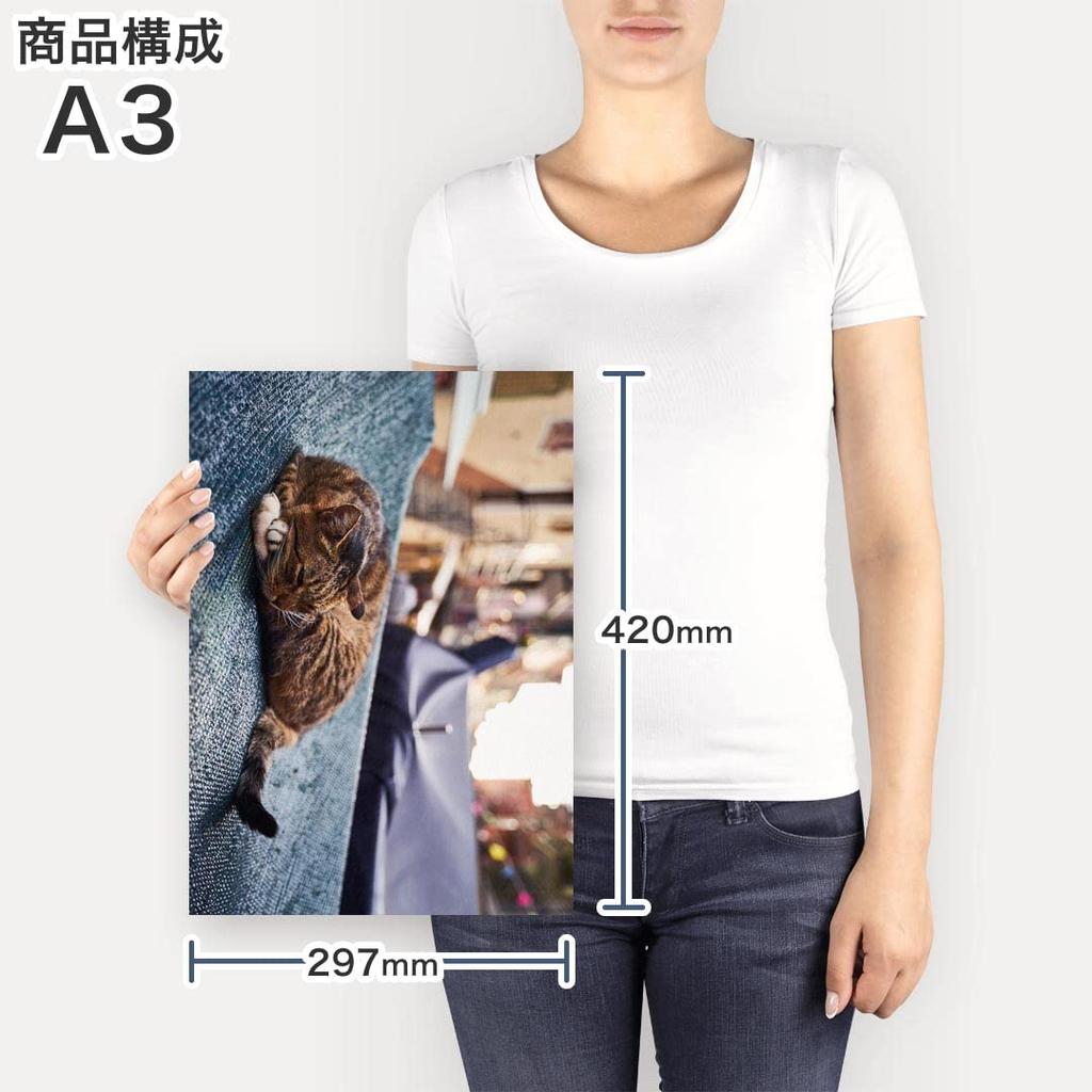 Art 420mm X Wall Wooden Stylish Interior Photo Panel, Painting, Decoration, Igsticker, 297mm, A3, Photo, Hanging, Frame, Decor, 023084, Cat, Animal,