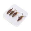 5 Pcs Hook Accessory Lure Nymph Shape Realistic Replacement
