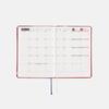 Hobonichi Techo 2025 HON Japanese ONE PIECE magazine/DON! [A6/1 page per day/January/Monday start]