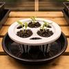 20PCS Plastic Hydroponic Seedling Pots 3 Holes Hydroponic Basket Grow Pots  Aerated Root Growth