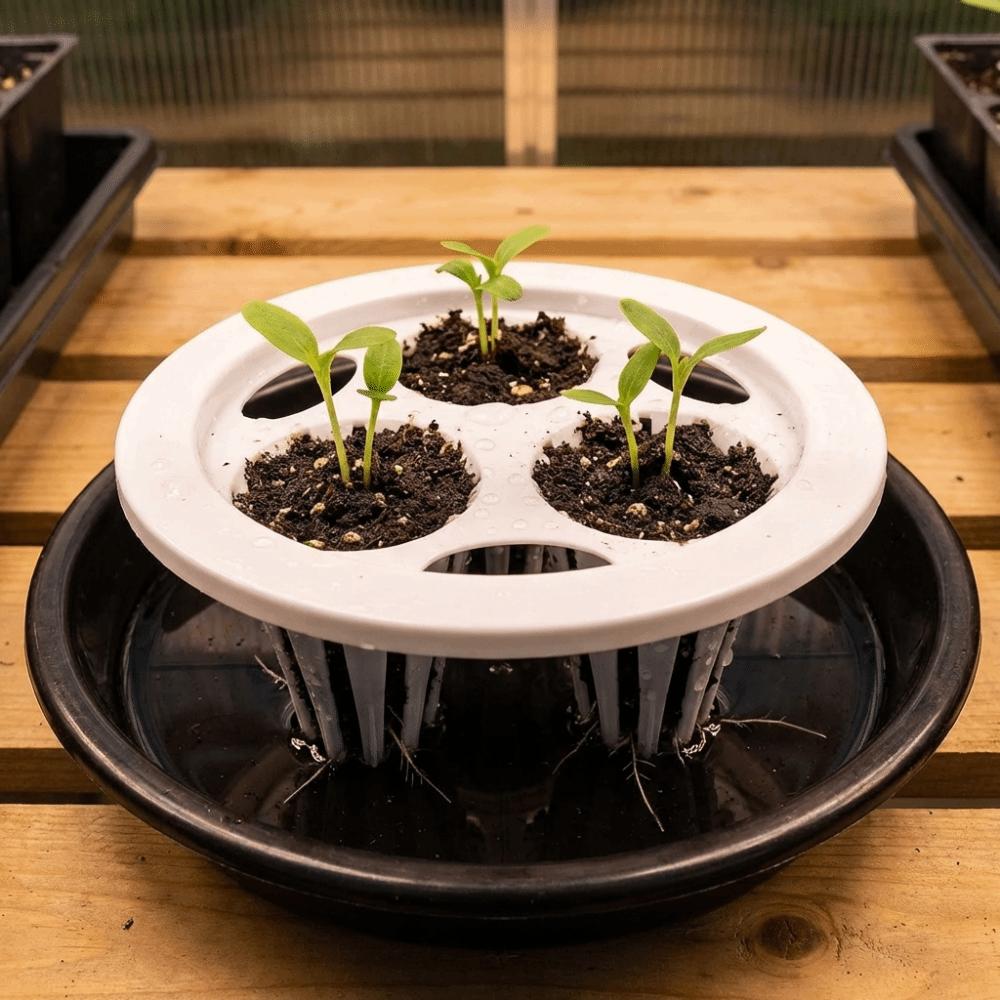 20PCS Plastic Hydroponic Seedling Pots 3 Holes Hydroponic Basket Grow Pots  Aerated Root Growth