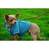 Automatic Dog Leash Blue 3m - Strong and Comfortable to Use up to 11kg