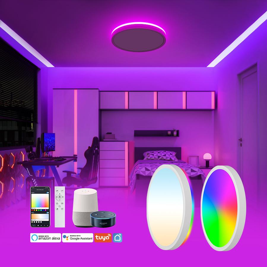 Smart Control Led Colorful Ceiling Light for Living Room Dining Room Decorative Excellent Atmosphere Creater Lamp