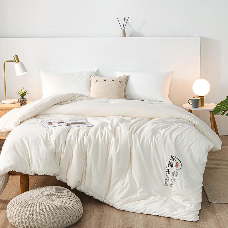 

Gong Xian Sheng Soybean Fiber Quilt 150x200cm