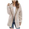 Autumn and Winter Casual Solid Colour Lapel Hooded Long-sleeved Women Plush Sweater Fleece Jacket