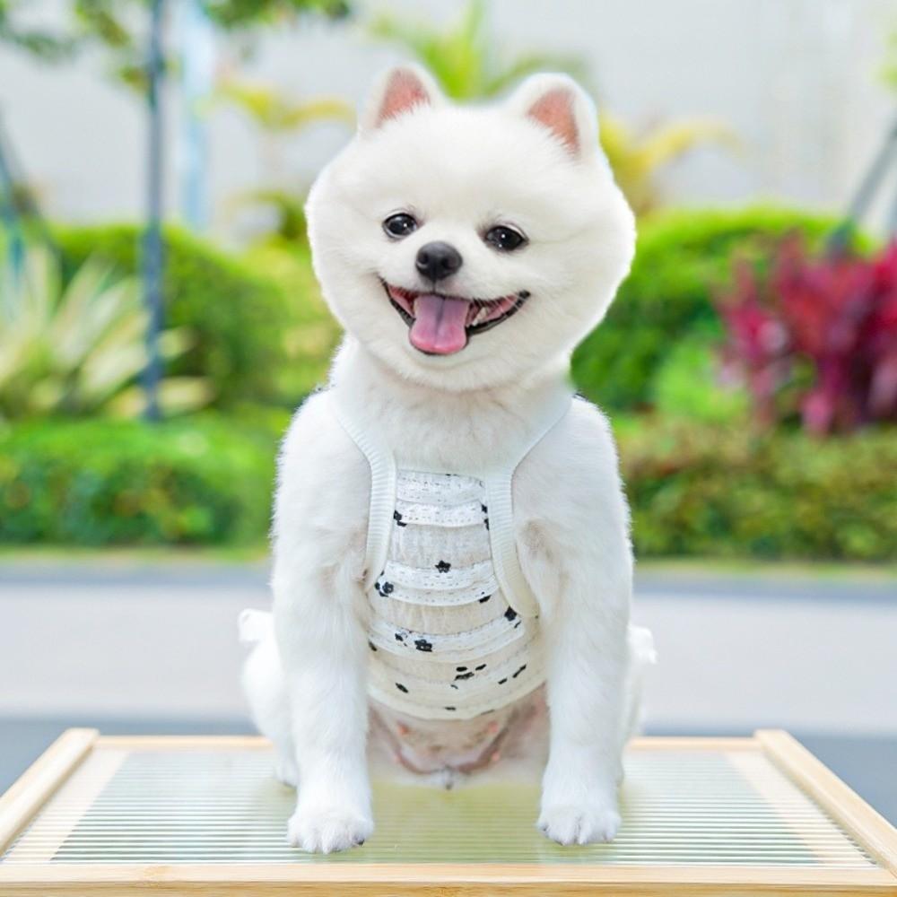 Embroidered Flower Pet Princess Dress Frilly Skirt Cat Suspenders Vest  Puppy Clothes