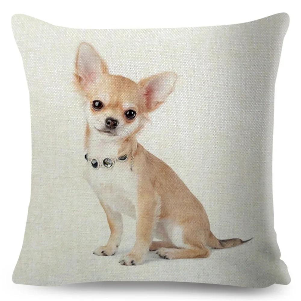 Cute Little Dog Chihuahua throw pillow cover with short plush print for living room sofa decoration cushion cover pillow covers 35x35cm