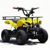 Children's Electric Off-road ATV with Three-Speed Transmission, 500W Motor