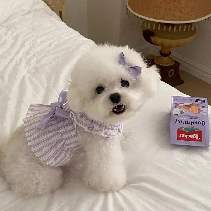 Pet denim skirt kitten dog anti-hair loss summer thin pet clothes cat clothing dress dress suspender skirt