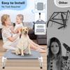 Elevated Cooling Dog Bed, Breathable Anti-slip Pet Cot for Medium Dogs
