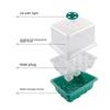 Heightened Seedling Box with Cover - 6/12 Holes, 3-Piece Set for Succulents & Vegetables