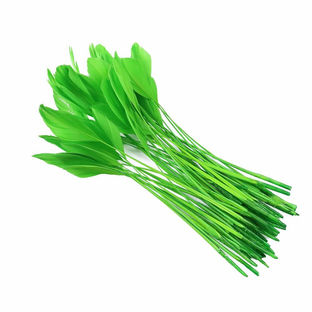 50 Stück/Beutel Lange Gänsefedern Gerupfte Coque Putzfedern Fascinators Hüte Verzierungen Farbige Handwerkszubehör