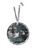 Shih Tzu, Chrysanthemum Dog - Crystal Bauble with a Photo, Dog Photo In Crystal, Personalized Christmas Tree Ornament by Art-Dog Brand