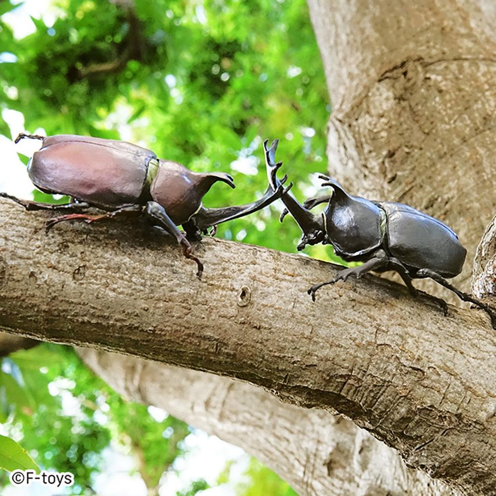 Null Insect Hunter Beetle Set 1box 10pcs