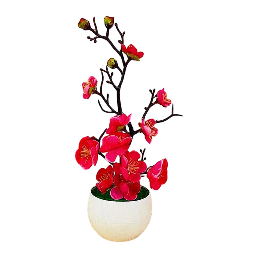 No Watering Required Plum Blossom Bonsai No Sunlight Needed