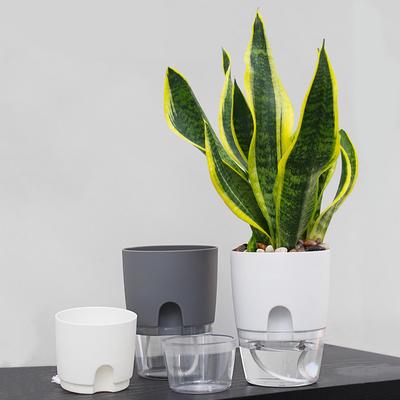 Deko & Wohnaccessoires – Dekorative Blumentöpfe