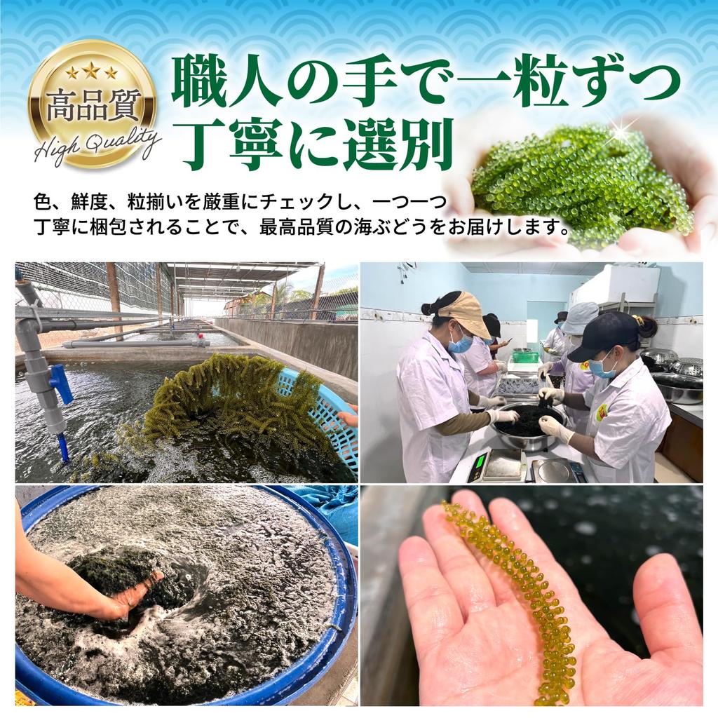 AWOND Sea Grapes 20g×2 Servings Edible Seaweed Fresh Long Shelf Life Keep at Room Temperature