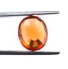 8.95 Carat Martin Luther King Jr. Day Certified Oval Shape Orange Sapphire Sri Lanka Gemstone SN195